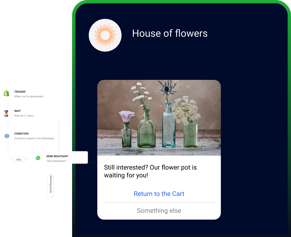 WhatsApp Business API in DRC